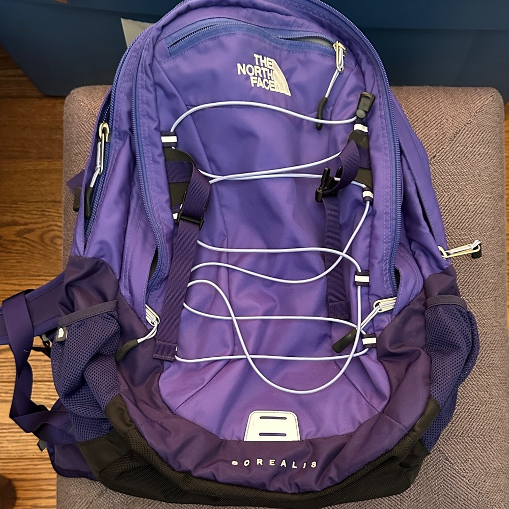 The North Face Purple Backpack